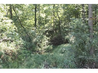 Property photo 62 - ILLINOIS LAND AUCTION - 705+/- ACRES OFFERED IN 16 TRACTS IN EDWARDS COUNTY, ILLINOIS